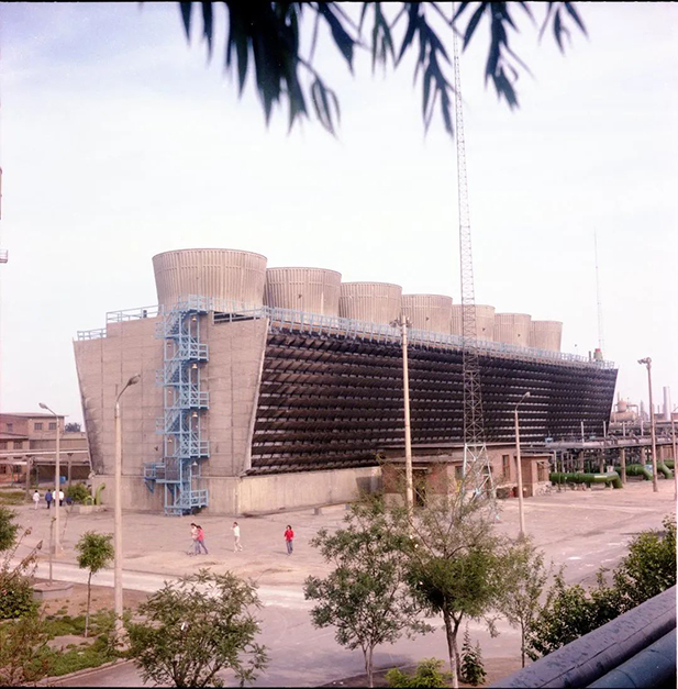 1710832516022037052.jpg 22.jpg