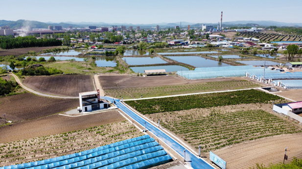 1729646267311004694.png 1.png